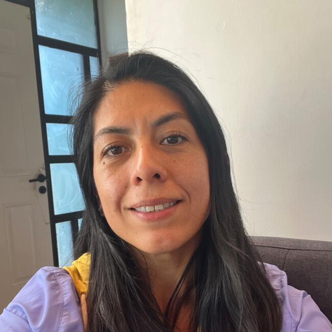 Babysitting job in Chillán: Pia