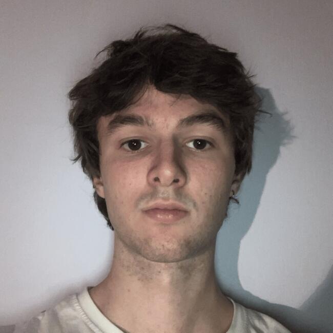 Babysitter in Vienna: Michael