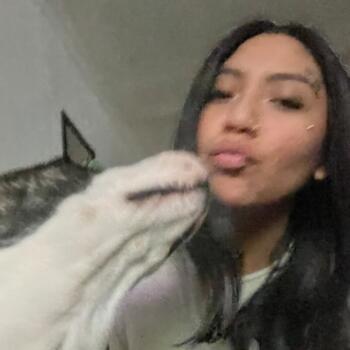 Babysitter in Recoleta: Daryana