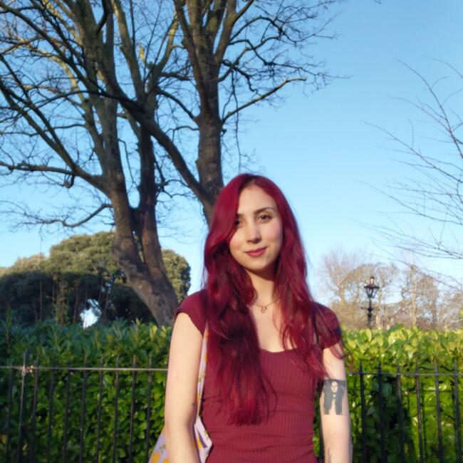 Babysitter in Dublin: Romi