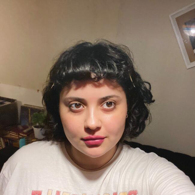 Babysitter in Providencia: Francisca