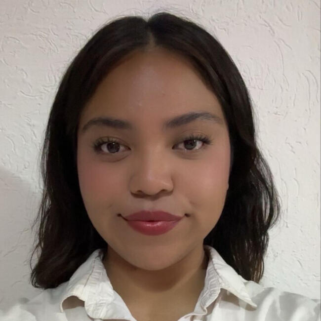 Niñera en Soledad de Graciano Sánchez: Mich