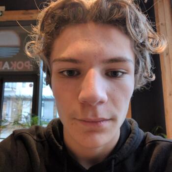 Babysitter in Rixensart: Romain