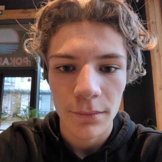 Babysitter in Rixensart: Romain