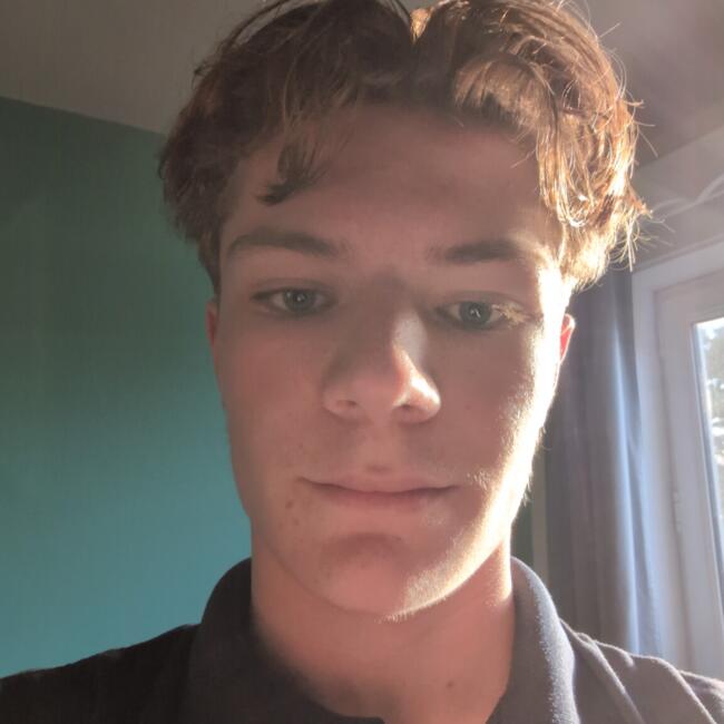 Babysitter in Rixensart: Romain