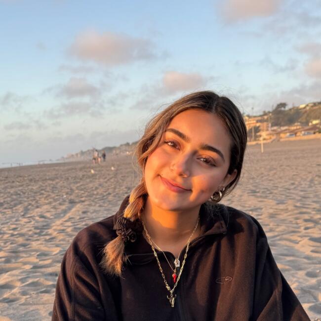 Babysitter in Temuco: Rocío