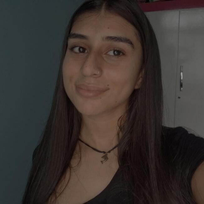 Babysitter in San Isidro de El General: Ashly