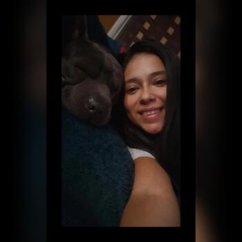 Babysitter in Santiago: Jeny