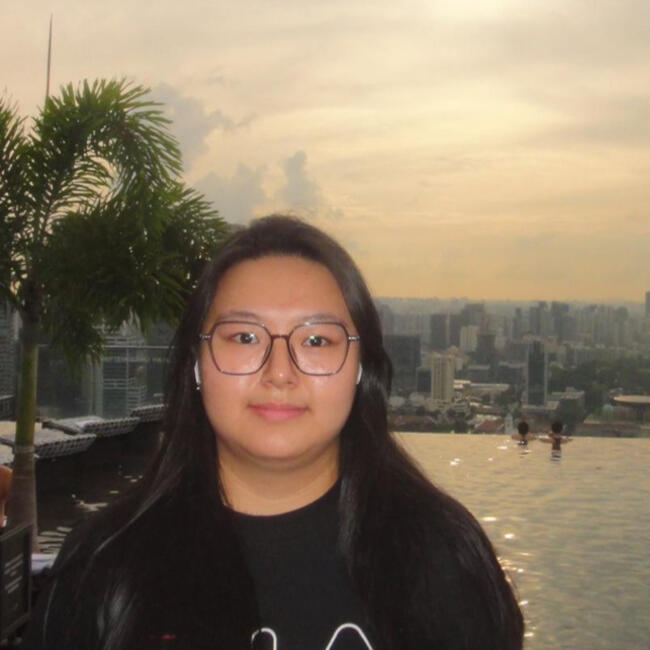 位于新加坡的临时保姆: Julynn