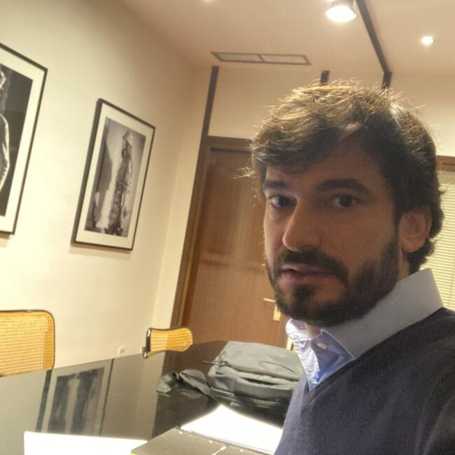 Babysitting job in Madrid: Luis
