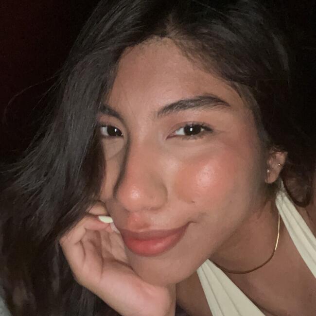 Babysitter in Guayaquil: Allison mayerli de la cruz