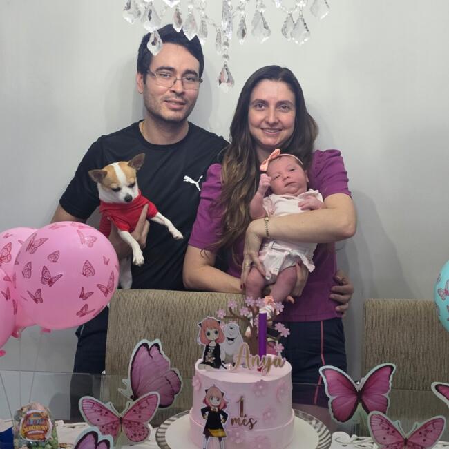 Babysitting job in Paragominas: Dayane