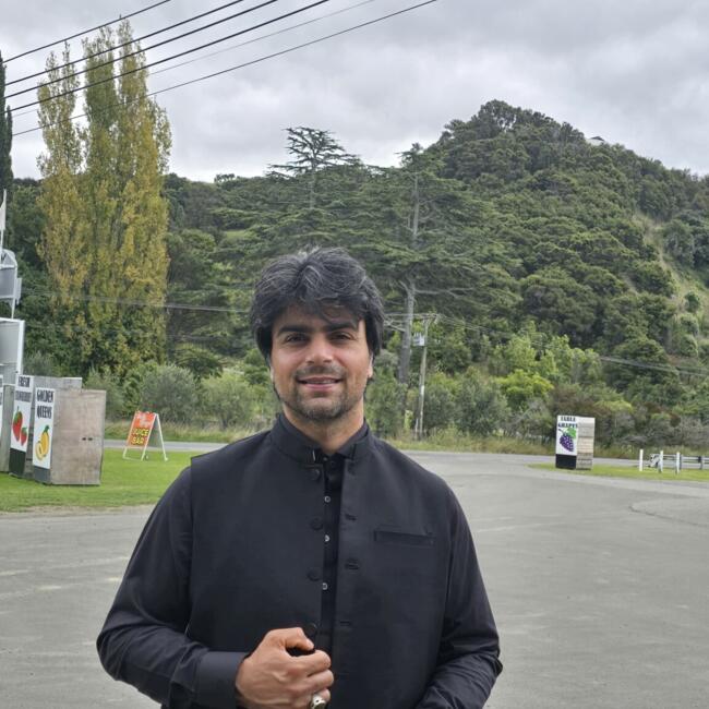 Babysitting job in Napier City: Raza