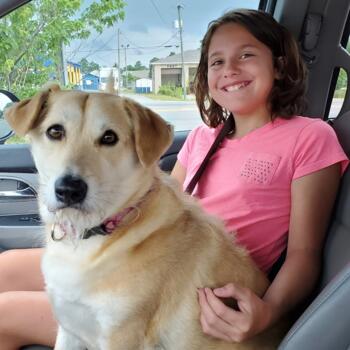 Babysitter in Milton (Florida): Chloe