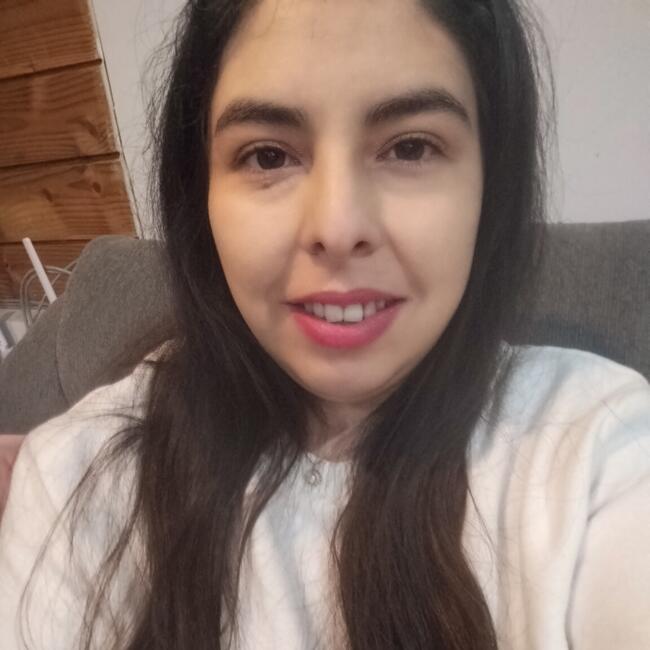 Babysitting job in Calama: Camila