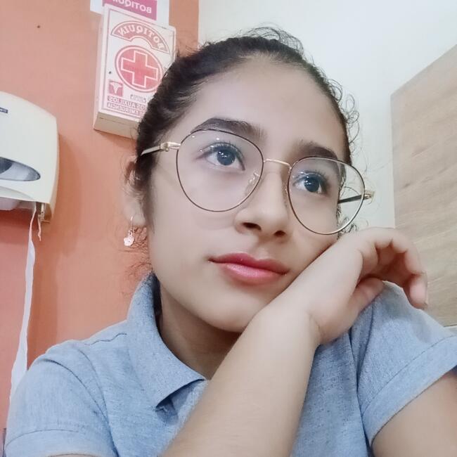 Babysitter in Comas (Departamento de Lima): Celeste