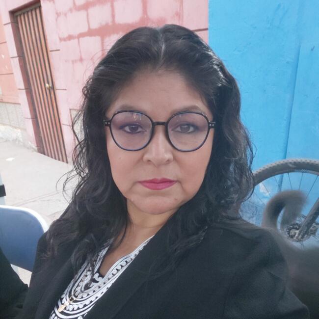 Babysitter in Iquique: Cleider