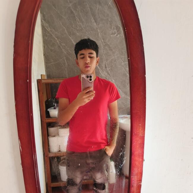 Babysitter in Alto Hospicio: Dydier