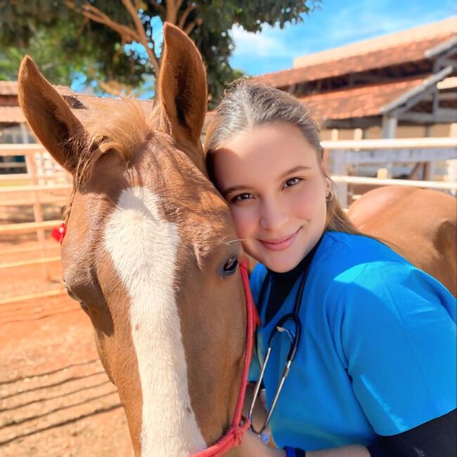 Babysitter in Uberlândia: Ana Laura