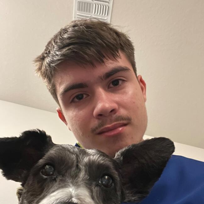 Babysitter in Pinellas Park: Jake