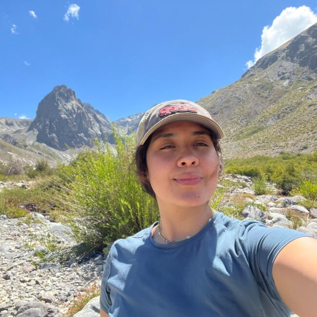 Babysitter in Hualpén: Millaray