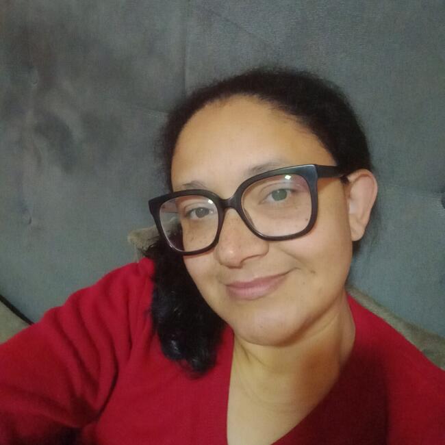 Babysitter in Caxias do Sul: Josilda
