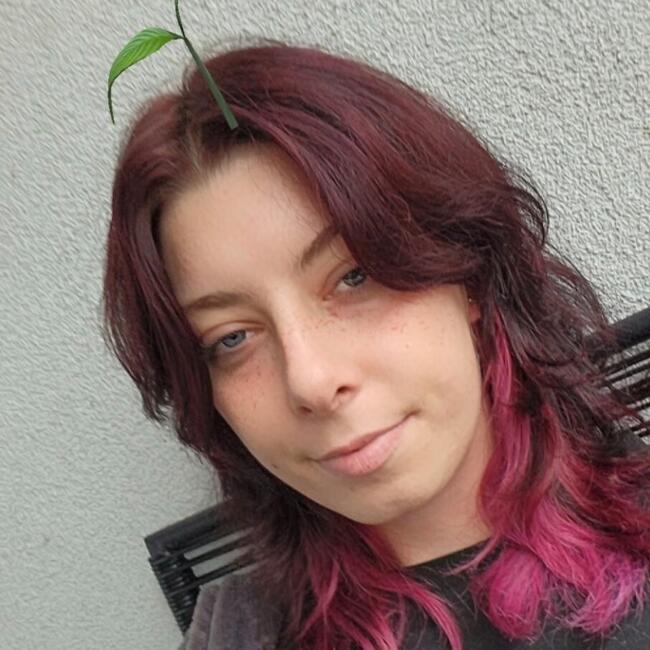 Babysitter in Koper: Noel