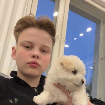Babysitter in Tampere: Henry