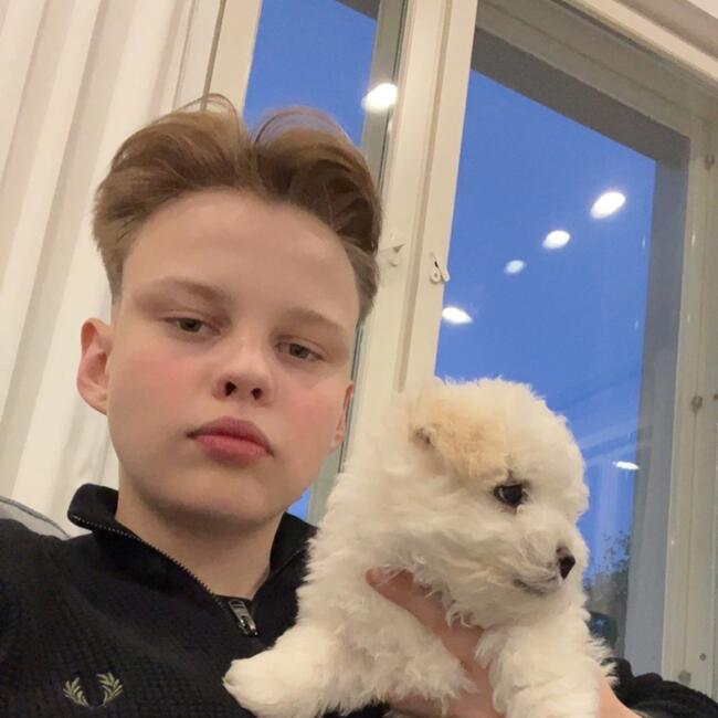 Babysitter in Tampere: Henry