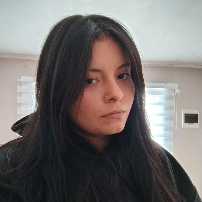 Babysitter in Temuco: Anahi