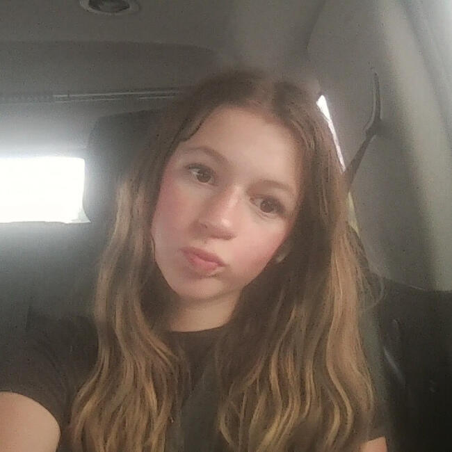 Babysitter in Denver (North Carolina): Reese