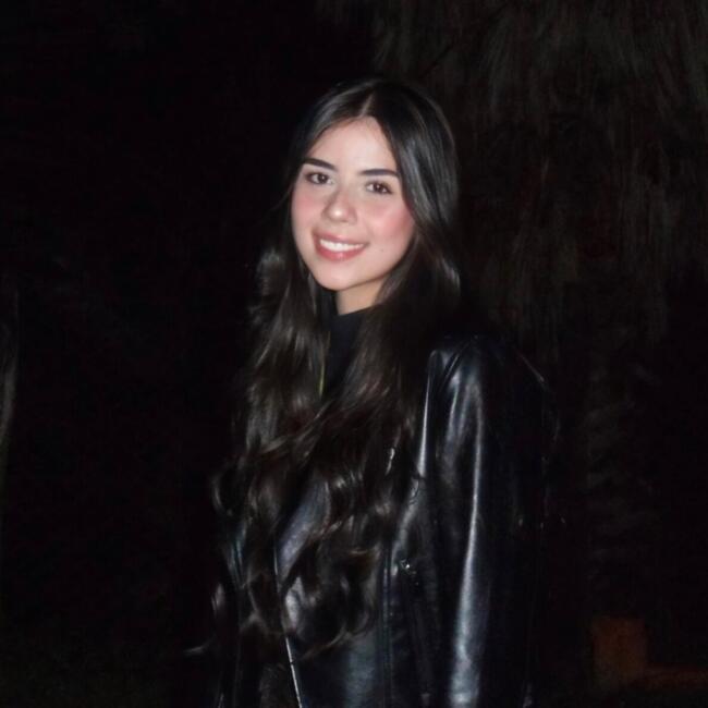 Babysitter in Alfenas: Heloisa