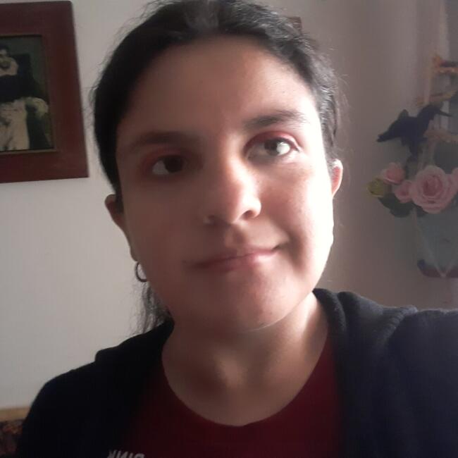 Babysitter in Viña del Mar: Karina