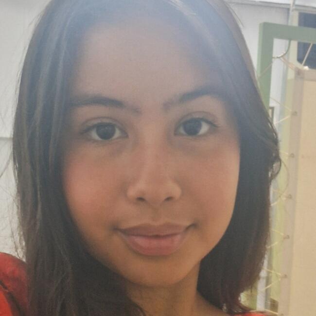 Babysitter in Patos de Minas: Isabella