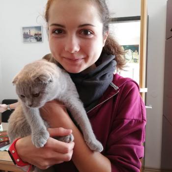 Babysitter in Dornbirn: Hannah