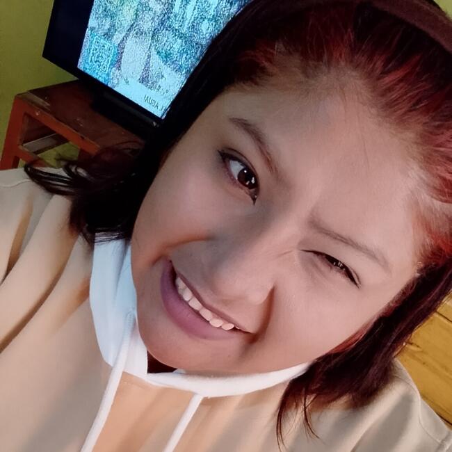 Niñera en Arequipa: Jhade