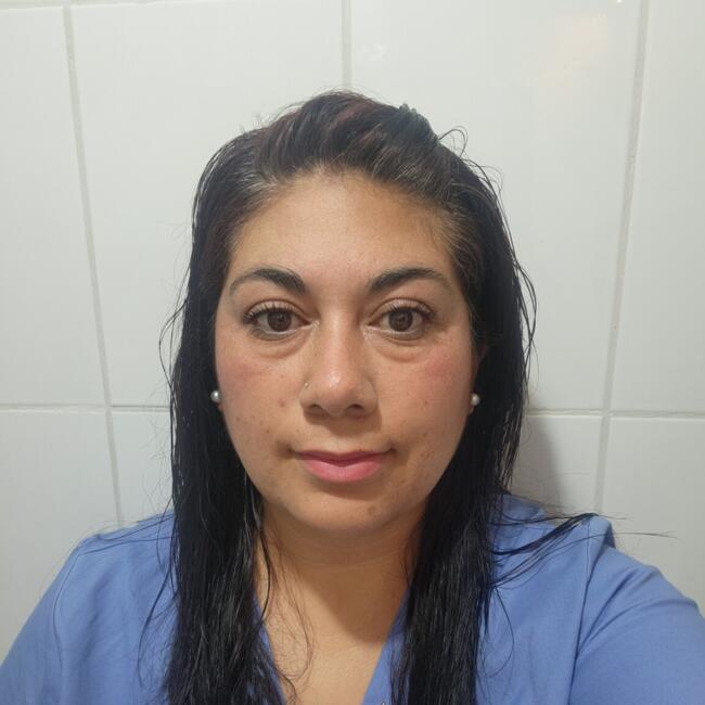 Niñera en Macul: Gladys