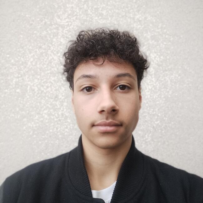 Babysitter in Tassin-la-Demi-Lune: Thibault