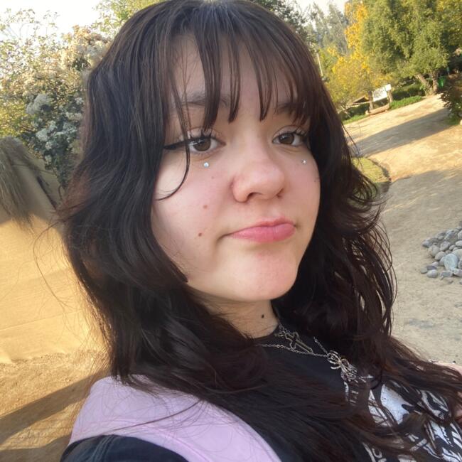 Babysitter in La Serena: Rafaela