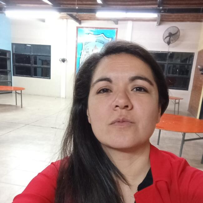 Niñera en Ciudad de San Juan: Silvana