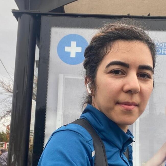 Posao bebisiterke u Beograd: Minoo