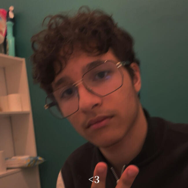 Babysitter in Vénissieux: Fabio