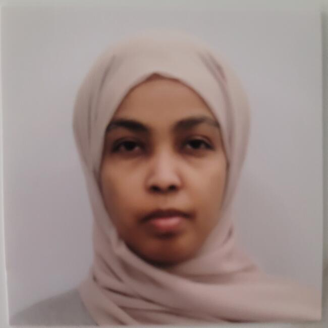 Babysitting job in Saint Paul: Neama