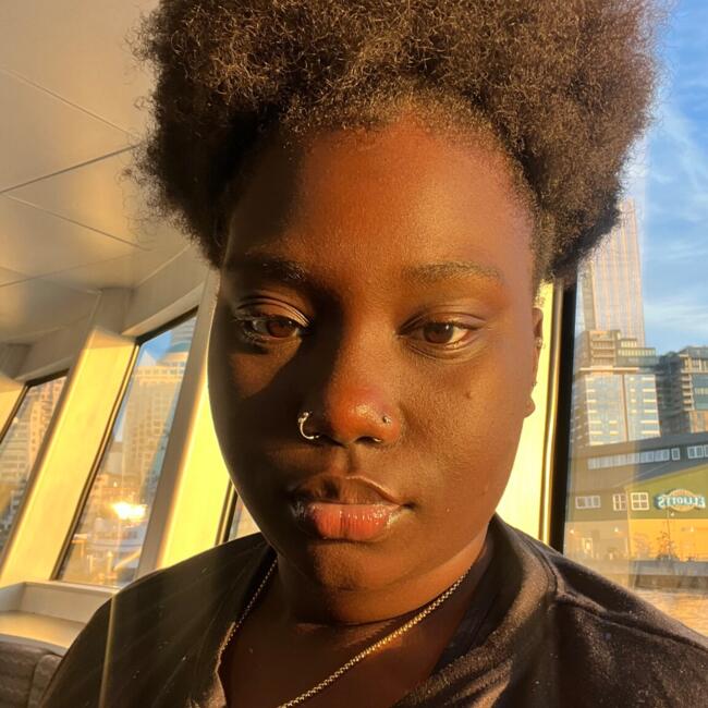 Babysitting job in Tacoma: Sonna