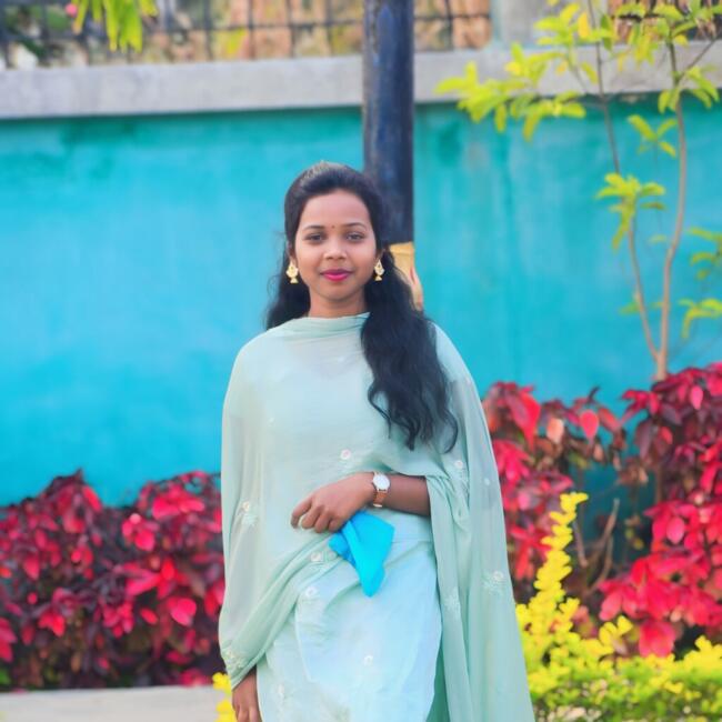 नागपुर में बेबीसिटर: Sujata kindo