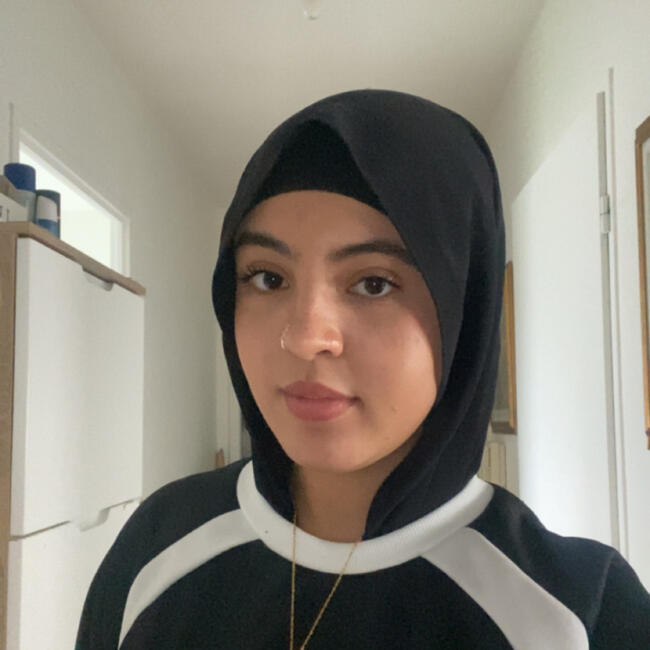 Babysitter in Roubaix: Raja