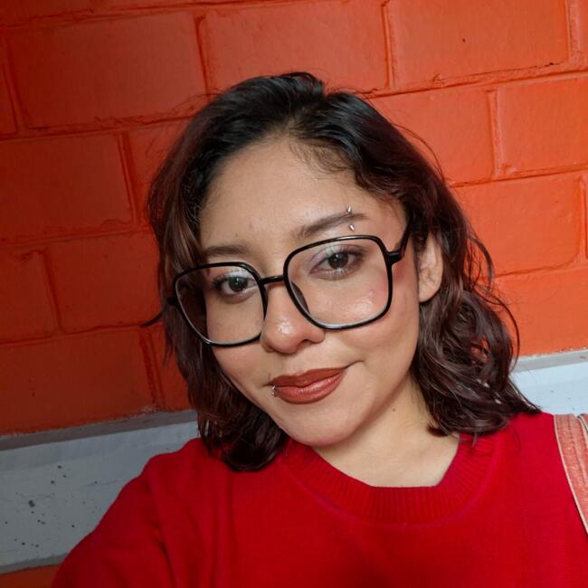 Niñera en Cuauhtémoc: Emilia