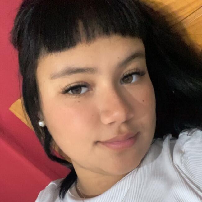 Babysitter in Santiago: Diana