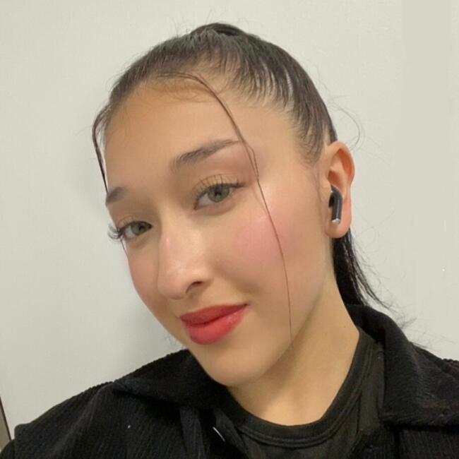 Babysitter in Viña del Mar: Alanis