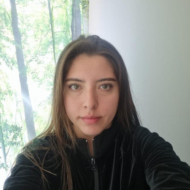 Babysitter in La Serena: Millaray Brizuela